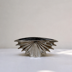 Coralyn Seashell Vase