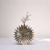 Velora Shell Vase