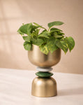Aurum Planter